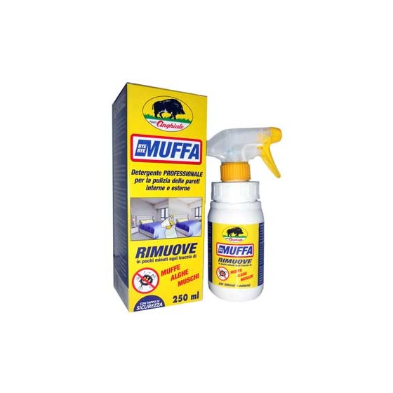 Bye Bye Muffa detergente professionale 250 ml per interni ed esterni